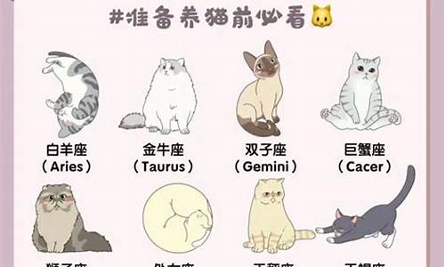 十二星座适合养什么宠物猫_十二星座适合养